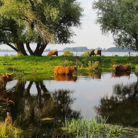 Het Zwanennest Bed & Breakfast *