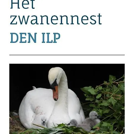 Het Zwanennest Bed & Breakfast