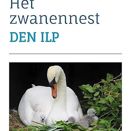 Het Zwanennest 4*