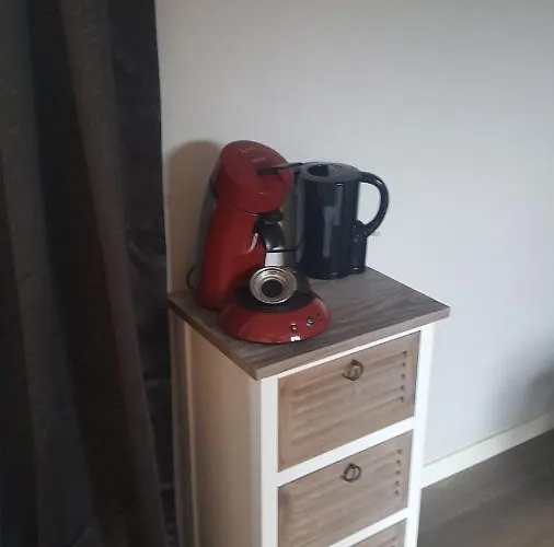 Bed & Breakfast Het Zwanennest Den Ilp