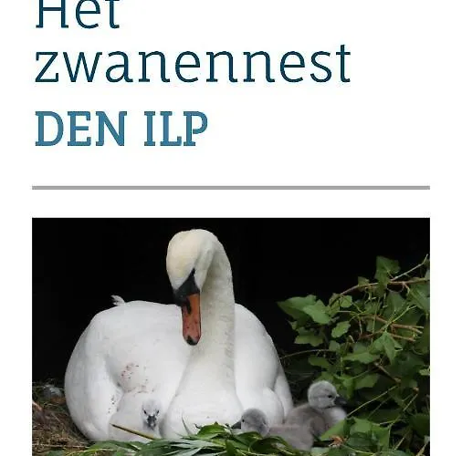 Het Zwanennest Bed & Breakfast