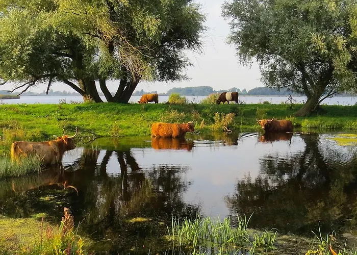 Het Zwanennest Отель типа 